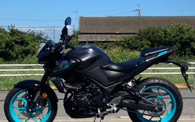 YAMAHA MT-25 RG74J