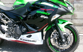 KAWASAKI NINJA 250 KRT ED EX250P