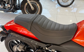 HARLEY X500 2024 W5B