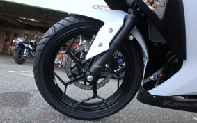 KAWASAKI NINJA 250 EX250L