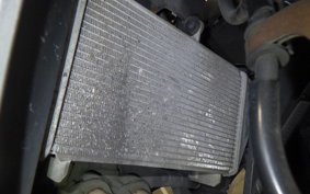 YAMAHA YZF-R25 2007 RG10J