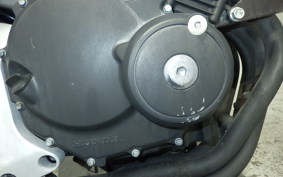 HONDA HORNET 250 2025 MC31
