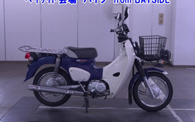 OTHER C110PU LOW 3