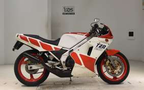 YAMAHA TZR250 1KT