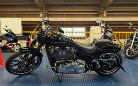 HARLEY FXBRS 2021 YHK