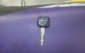 HONDA CRM250AR 2024 MD32