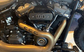 HARLEY HARLEY FXFBS 2019 YLK