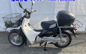 OTHER C110PU LOW 2