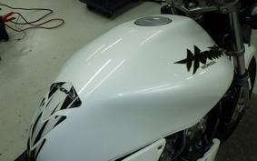 HONDA HORNET 250 2010 MC31