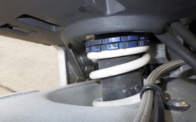 APRILIA RS250