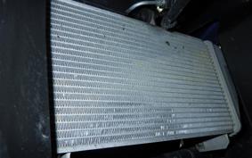 YAMAHA YZF-R25 A RG43J