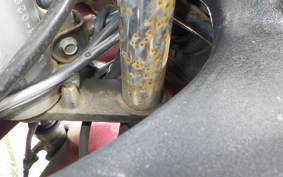 KAWASAKI ZZ-R250 EX250H