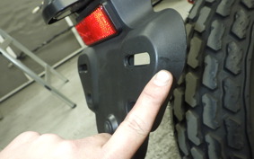 HONDA MONKEY 125 2018 JB05