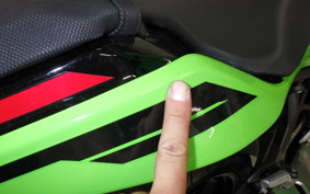 KAWASAKI NINJA 250 2 2013 EX250Y