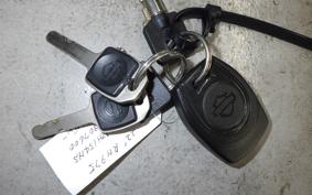HARLEY RH975 2022