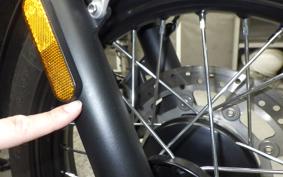 TRIUMPH BONNEVILLE T100 2024