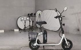 OTHER  ELECTRIC SCOOTER  EKO  SLIDING  ..