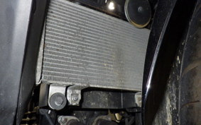 KAWASAKI NINJA 250 ABS 2020 EX250L