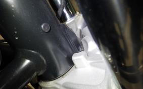 BMW R NINE T URBAN GS 2021