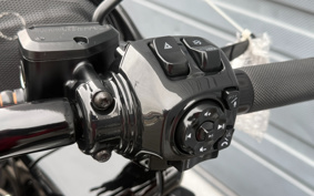 HARLEY FLTRXSTSE CVO 2025 TL8