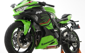 KAWASAKI NINJA ZX-4RR 2024 ZX400P