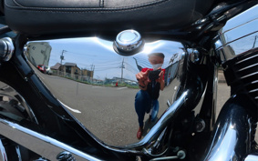 HARLEY XL1200C 2001 CGP