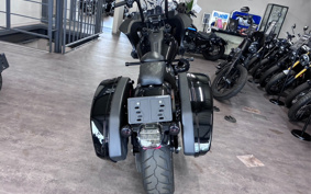 HARLEY FXLRST 2024 YXZ