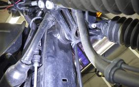 KAWASAKI W800 2021 EJ800B