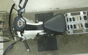 HONDA C110 SUPER CUB 2020 JA10