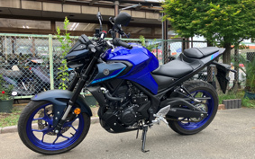 YAMAHA MT-25 RG74J