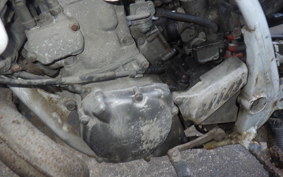 HONDA CRM250R GEN 2 MD24