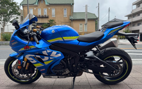 SUZUKI GSX-R1000R ABS 2019 DM11G