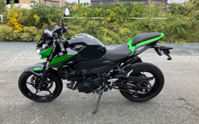 KAWASAKI Z250 EX250Y
