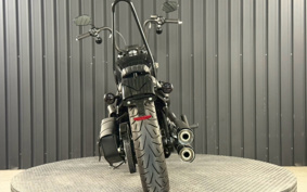 HARLEY FXBB 2020 YJJ