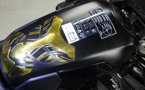 TRIUMPH TIGER 1200 RALLY EX 2023
