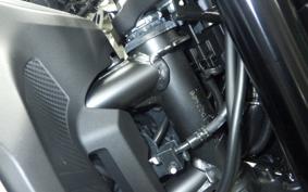 HONDA CB750 HORNET 2025 RH24