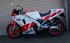 YAMAHA TZR250-1 1KT