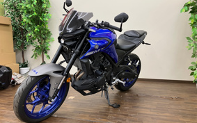 YAMAHA MT-25 ABS RG43J