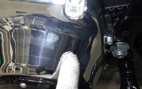 HARLEY FLFB1920 2025