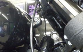 HARLEY FXLRS1920 2022