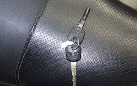 KAWASAKI VERSYS X250 A LE250D