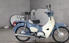 HONDA SUPER CUB50 AA09