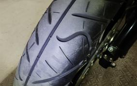 KAWASAKI KLX250D TRACKER X