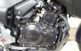 SUZUKI STROM 250 DS11A
