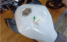 KAWASAKI Z250 ER250C