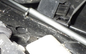 HONDA LEAD 110 2025 JF19