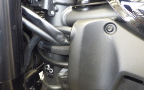 KAWASAKI Z900RS CAFE 2022 ZR900C