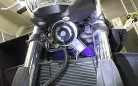YAMAHA MT-25 2011 RG43J