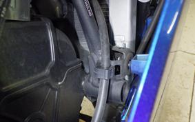 KAWASAKI NINJA 250 2017 EX250P