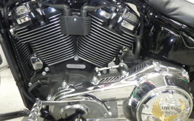 HARLEY FXLR1750 2019
